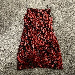 Princess Polly Dress